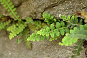 BUITEN BEELD Foto: 442160
