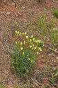 BUITEN BEELD Foto: 442161