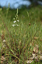 BUITEN BEELD Foto: 442162