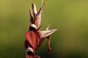 BUITEN BEELD Foto: 442163