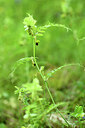 BUITEN BEELD Foto: 442165