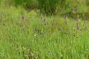 BUITEN BEELD Foto: 442166