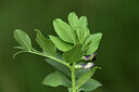 BUITEN BEELD Foto: 442171