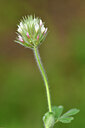 BUITEN BEELD Foto: 442172