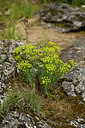 BUITEN BEELD Foto: 442178