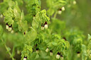 BUITEN BEELD Foto: 442179