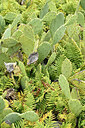BUITEN BEELD Foto: 442181