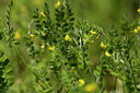 BUITEN BEELD Foto: 442182
