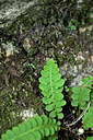 BUITEN BEELD Foto: 442183