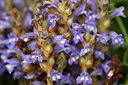BUITEN BEELD Foto: 442184