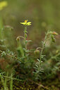 BUITEN BEELD Foto: 442186