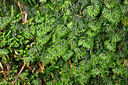 BUITEN BEELD Foto: 442190