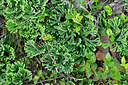 BUITEN BEELD Foto: 442196