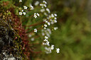 BUITEN BEELD Foto: 442198