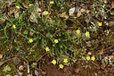 BUITEN BEELD Foto: 442199