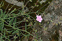 BUITEN BEELD Foto: 442202