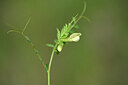 BUITEN BEELD Foto: 442209