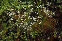 BUITEN BEELD Foto: 442215