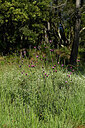 BUITEN BEELD Foto: 442229