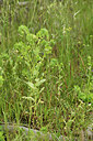 BUITEN BEELD Foto: 442230