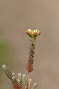 BUITEN BEELD Foto: 442232