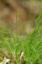 BUITEN BEELD Foto: 442234