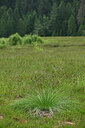 BUITEN BEELD Foto: 442238