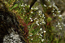 BUITEN BEELD Foto: 442241