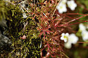 BUITEN BEELD Foto: 442242