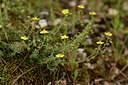 BUITEN BEELD Foto: 442243