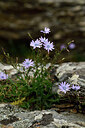 BUITEN BEELD Foto: 442252
