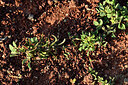 BUITEN BEELD Foto: 442253