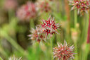 BUITEN BEELD Foto: 442258