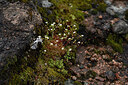 BUITEN BEELD Foto: 442260