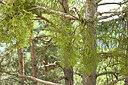 BUITEN BEELD Foto: 442261