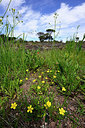 BUITEN BEELD Foto: 442264