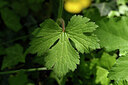 BUITEN BEELD Foto: 442270