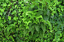 BUITEN BEELD Foto: 442279