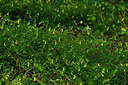 BUITEN BEELD Foto: 442284