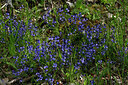 BUITEN BEELD Foto: 442285