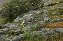 BUITEN BEELD Foto: 442287