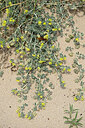 BUITEN BEELD Foto: 442288