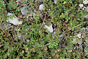 BUITEN BEELD Foto: 442289