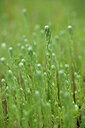 BUITEN BEELD Foto: 442291