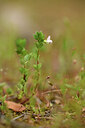 BUITEN BEELD Foto: 442292