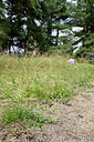 BUITEN BEELD Foto: 442295