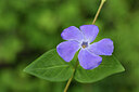 BUITEN BEELD Foto: 442308