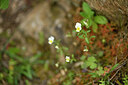 BUITEN BEELD Foto: 442313