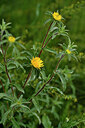 BUITEN BEELD Foto: 442314