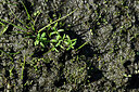 BUITEN BEELD Foto: 442317
